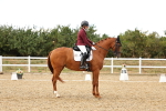 SBM_007676