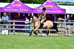 SBM_07973