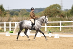SBM_012431