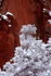 Snowy Alcove