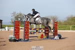 Cls 28 Young Horse 5yr old portfolio
