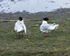 20100501-WE 071