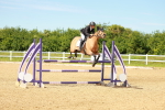 SBM_002474