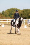 SBM_016731