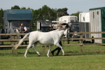SBM_00779