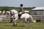 SBM_07616