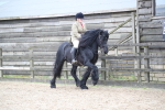 SBM_006479