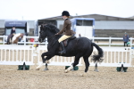 Class 33-34 - M&M Open Ridden Small-Large portfolio