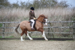 SBM_006073