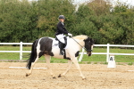SBM_003531