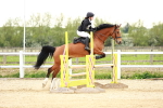 SBM_009509