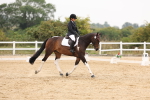 SBM_01690