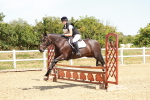 SBM_003874
