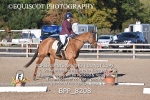 BPP_8208