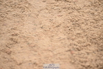 240720A-095102-13543
