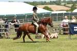 SBM_06831