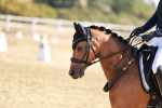 SBM_016956