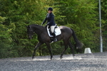 WJ5_9910