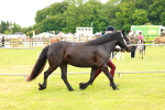 SBM_00372