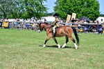 SBM_06111