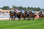 120826-Race 3-Sir David-6111