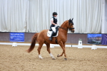 SBM_003886