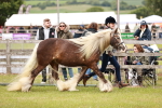 SBM_06031