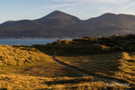 Mourne Mountains from Murlough