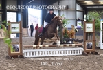 JAC_1267