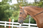 260829B-111919-00487