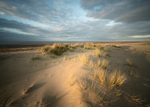 Sea breeze