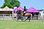 SBM_18215