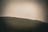 DSCF4205