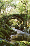 Pandy bridge V2