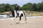 Class 16 - Novice 6 portfolio