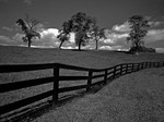 SEPTEMBER OAKS
