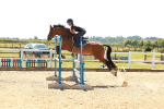 SBM_006935
