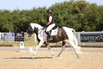 SBM_009236