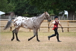 WJ6_8520