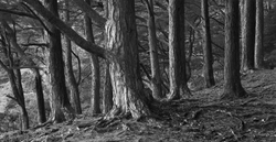 Monochrome portfolio