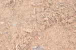 260923B-131953-00348