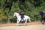 WJ6_8148