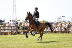 SBM_07332
