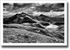 The Black Stuff ♦ TARMACHAN RIDGE