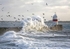 Gulls in the Spray