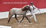 JAC_5665