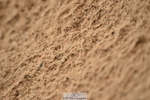 231028A-130910-01610