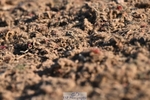 260626-191411-01166