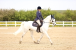 SBM_007466