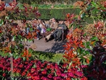 Holland Park #1 London 2016